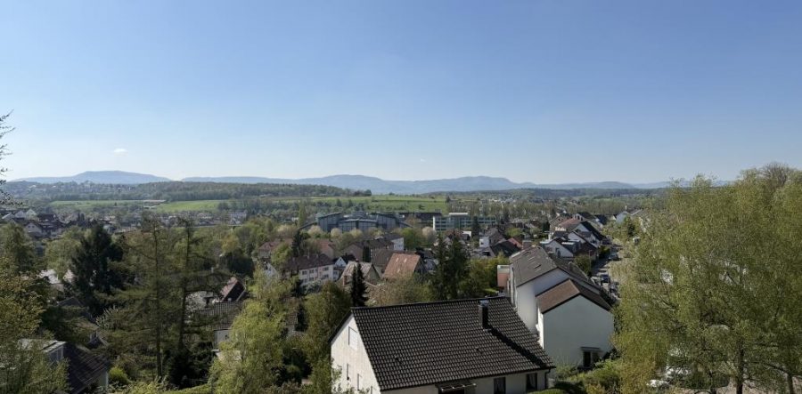 Ausblick